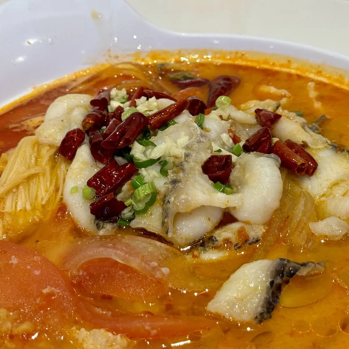 Gui Zhou Sour Soup Basa Large