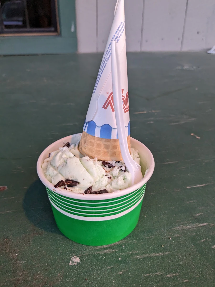 Mint Chip Ice-Cream with Sugar Cone