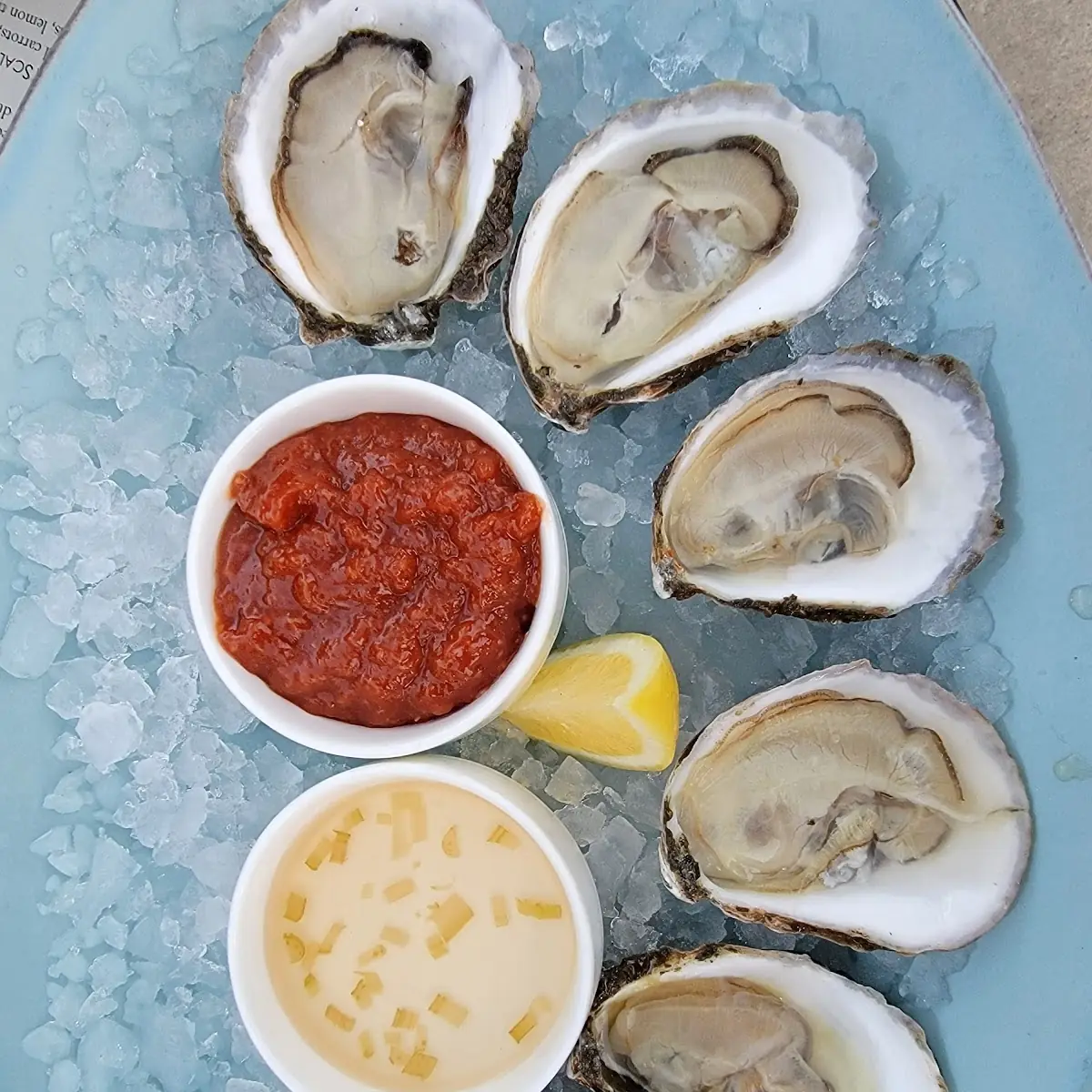 Raw Oysters on the Half Shell