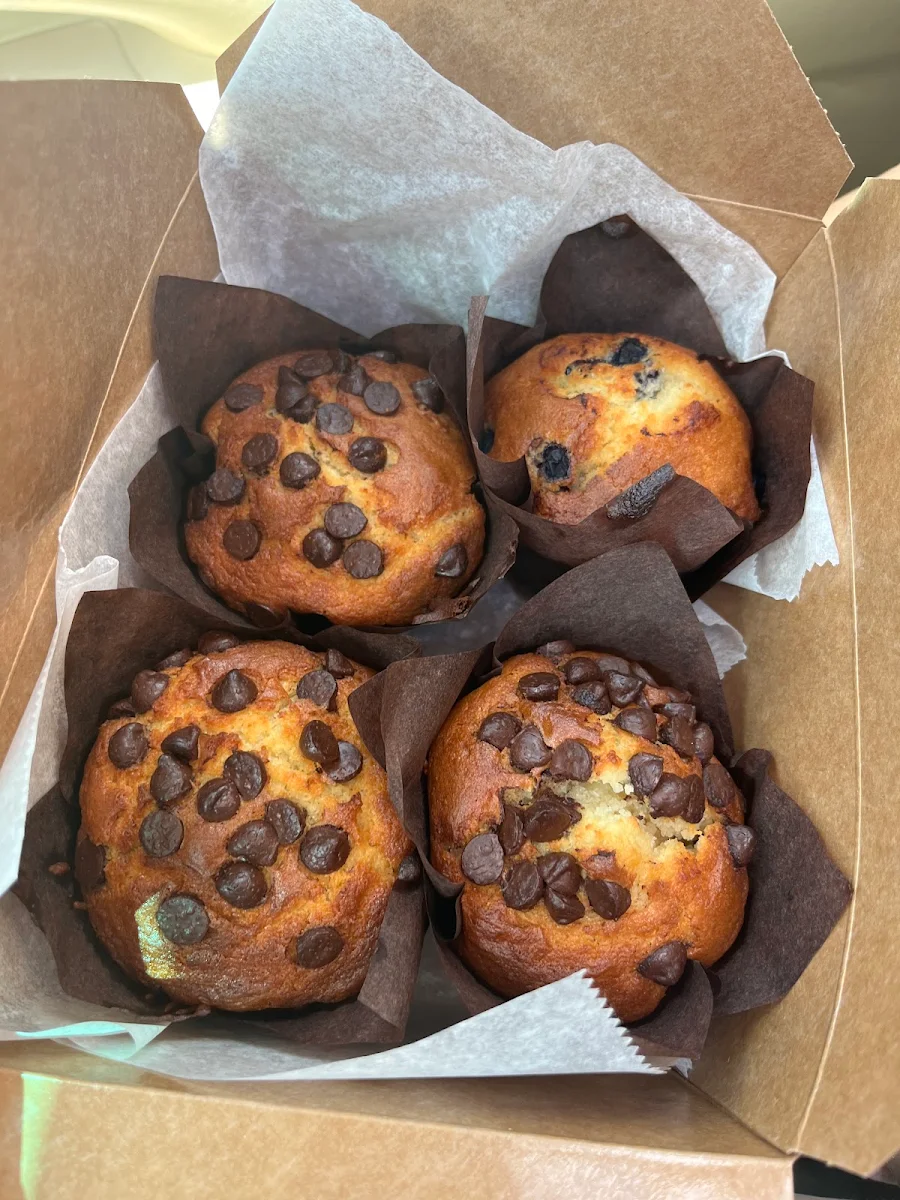 Chocolate Chip