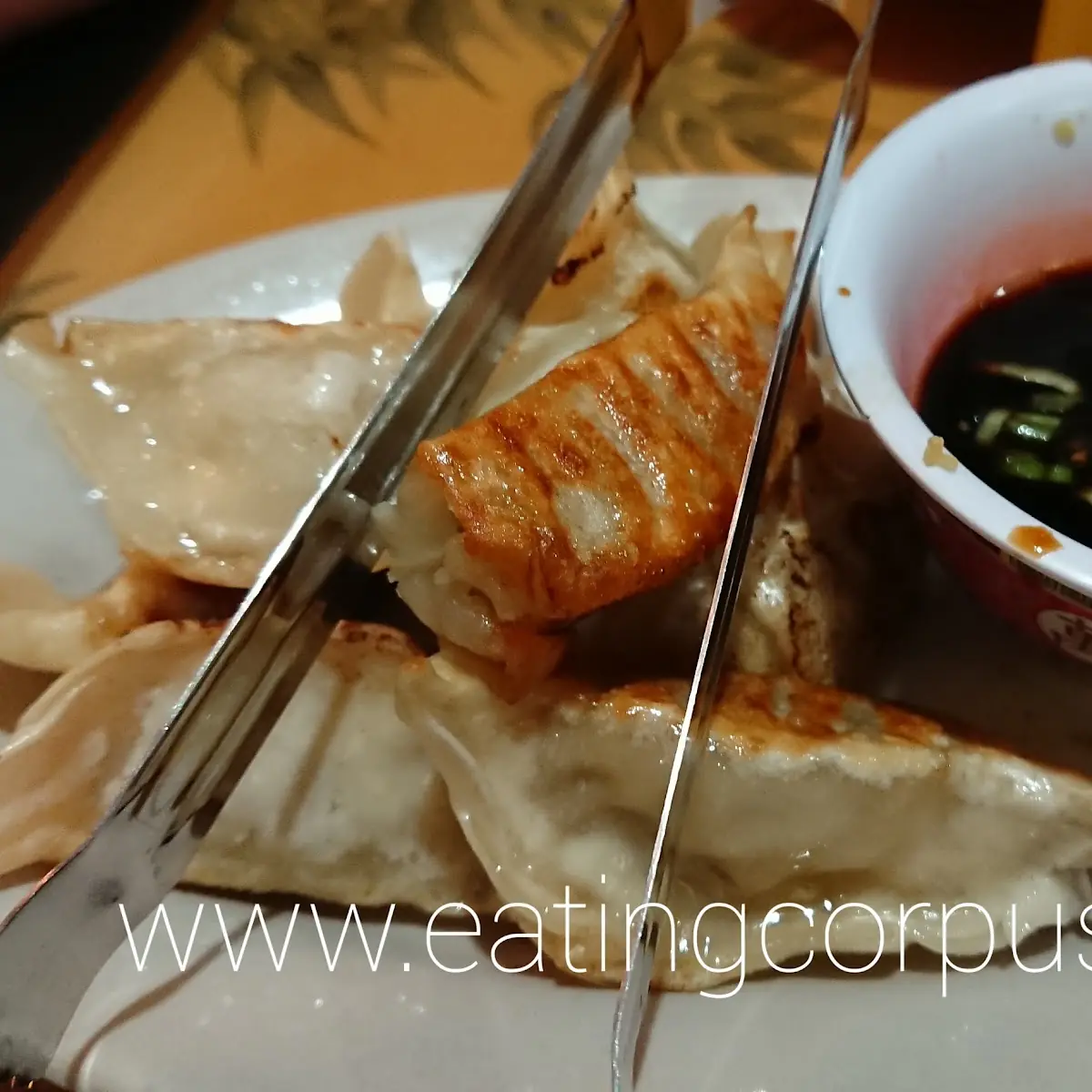Pan Fried Dumplings