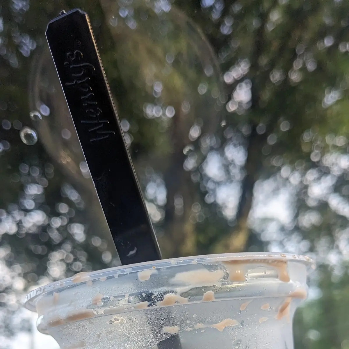 Chocolate Frosty