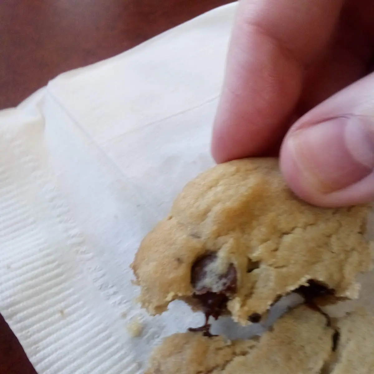 Chocolate Chip Cookie