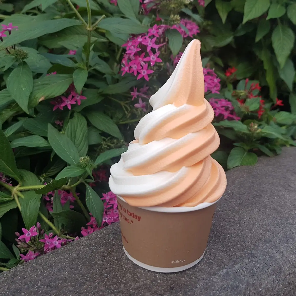 Soft-Serve Cup