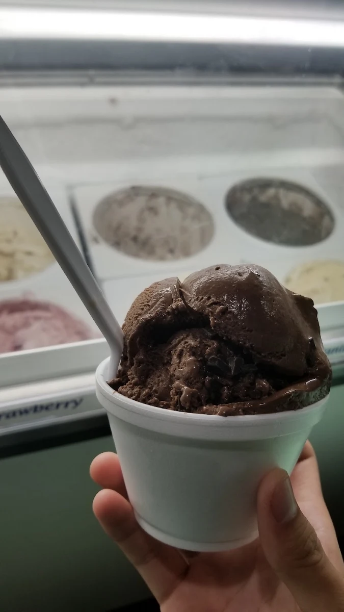 Dark Chocolate Gelato