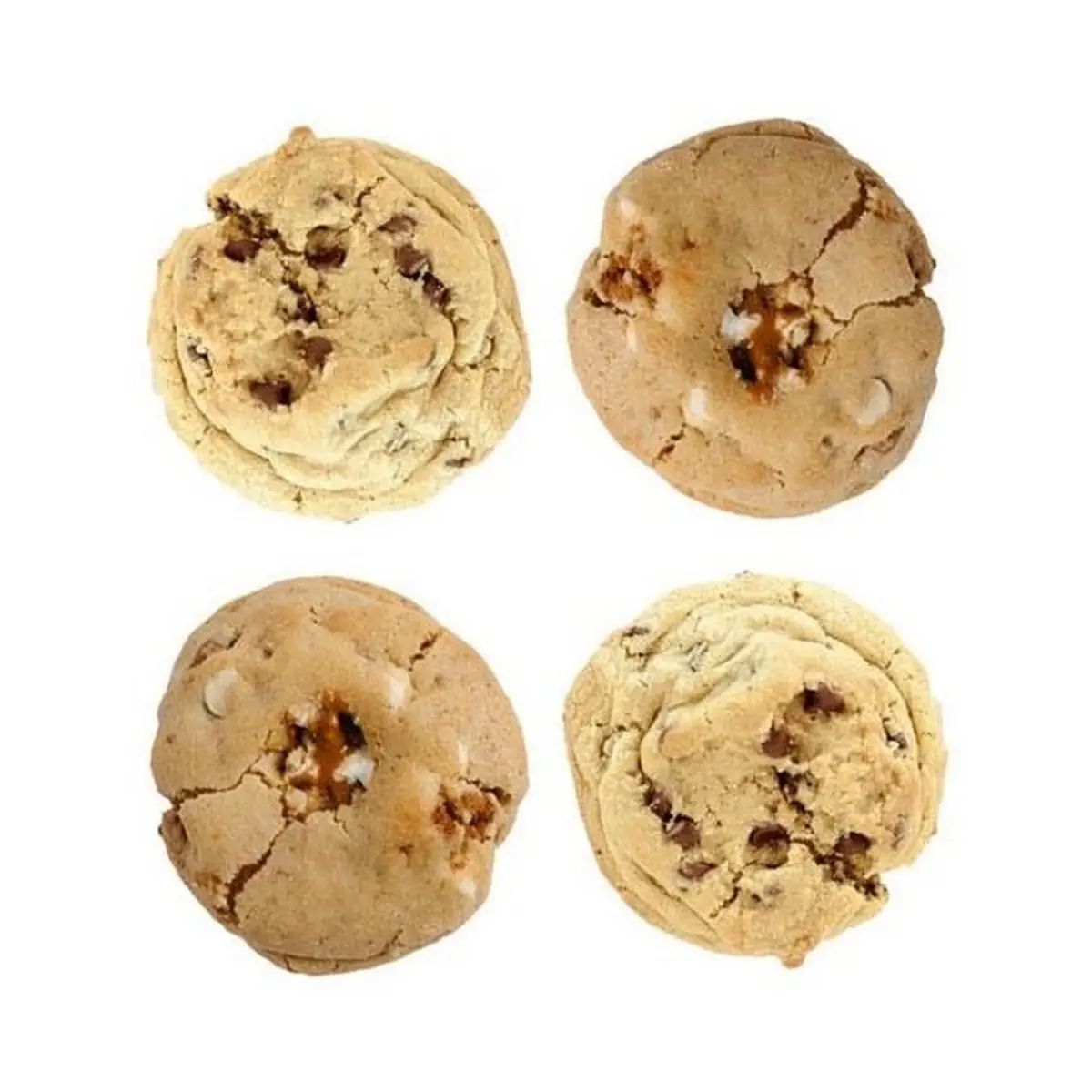 Chocolate Chip Cookie