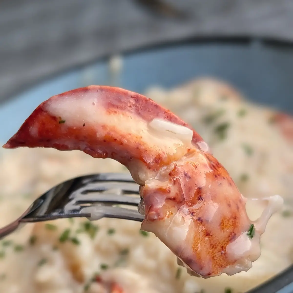 Seafood Risotto