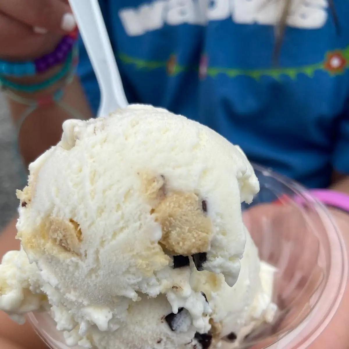 Chocolate Chip Cookie Dough