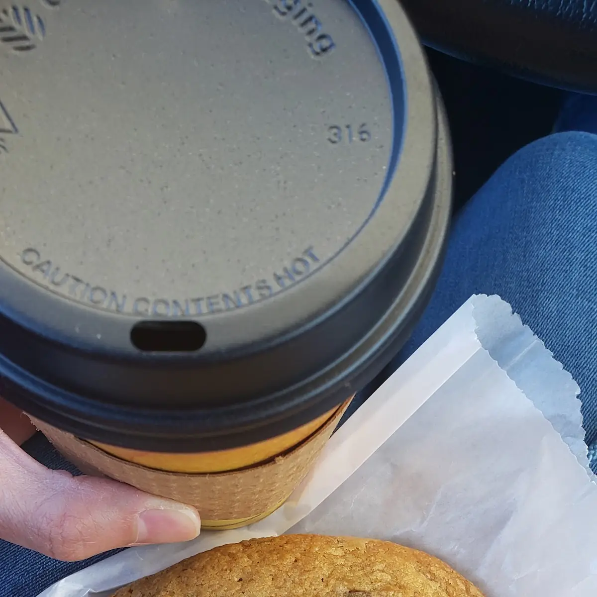 Gaint Chocolate Chip Cookie
