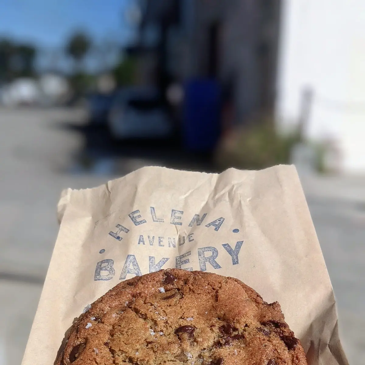 Chocolate Chip Cookie