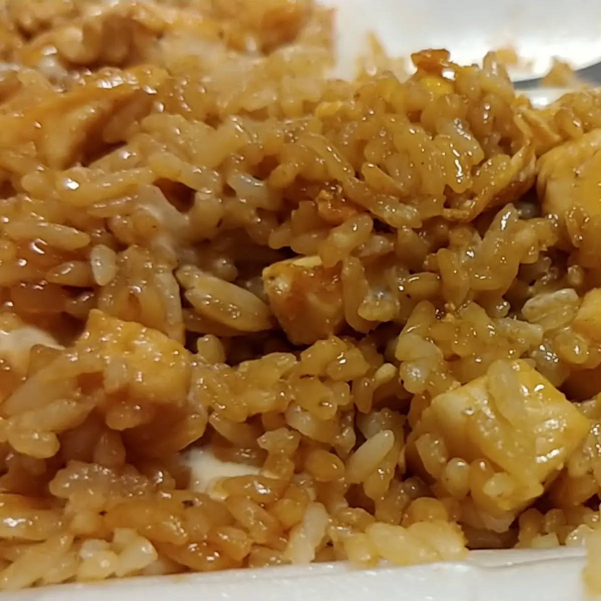 Chicken Yakimesi
