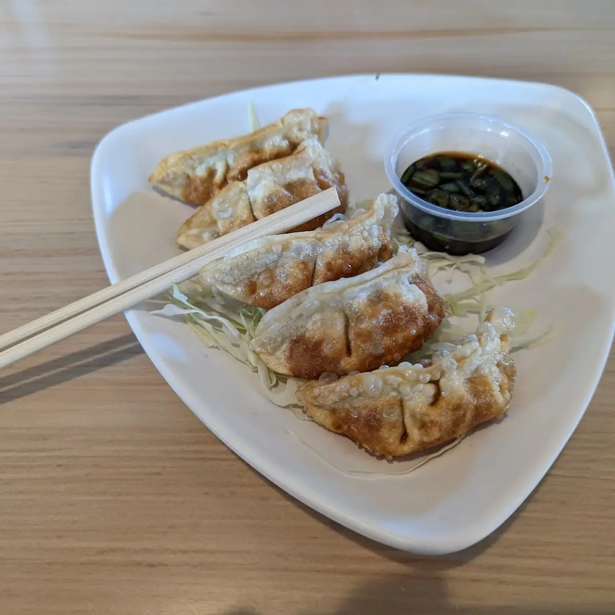 Pan Fried Dumplings