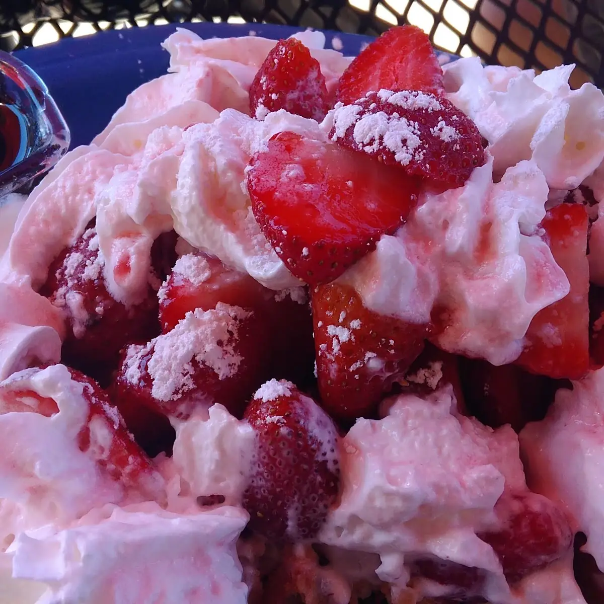 Belgian Waffle