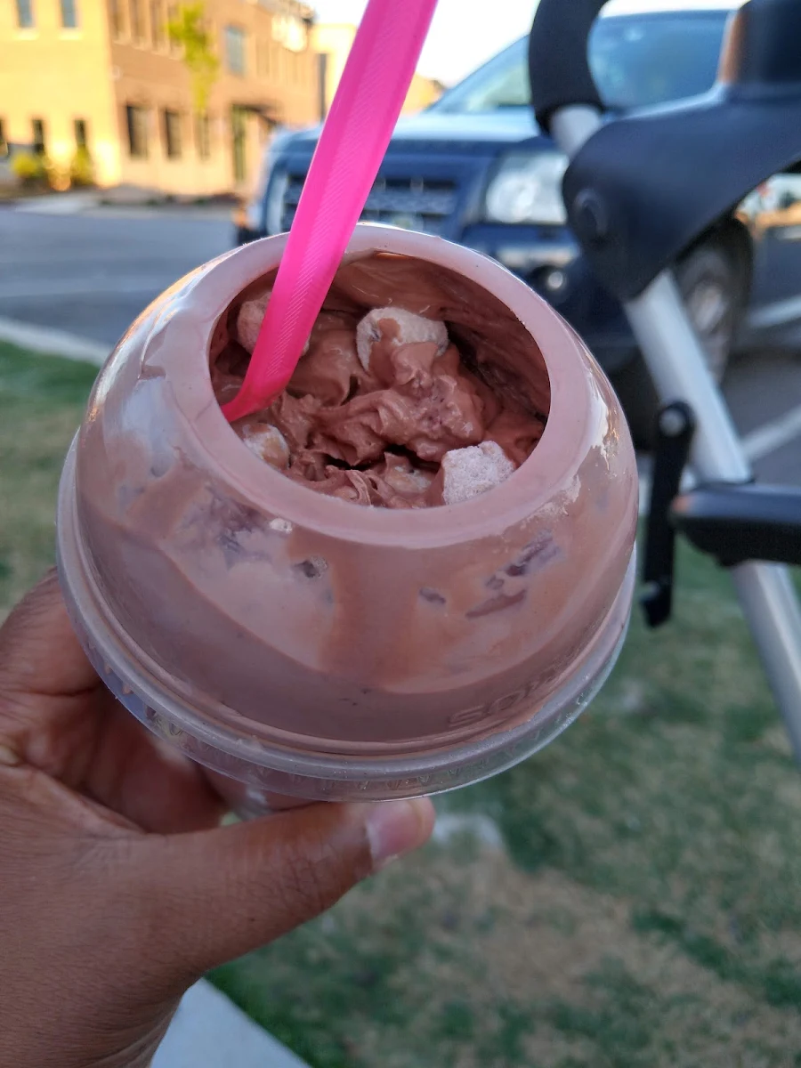 Chocolate with Strawberries and Cookie Dough Concrete