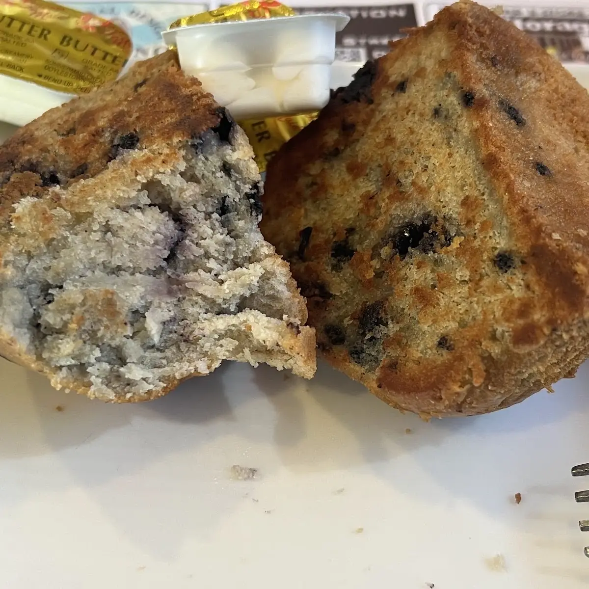 Toasted Blueberry Muffin