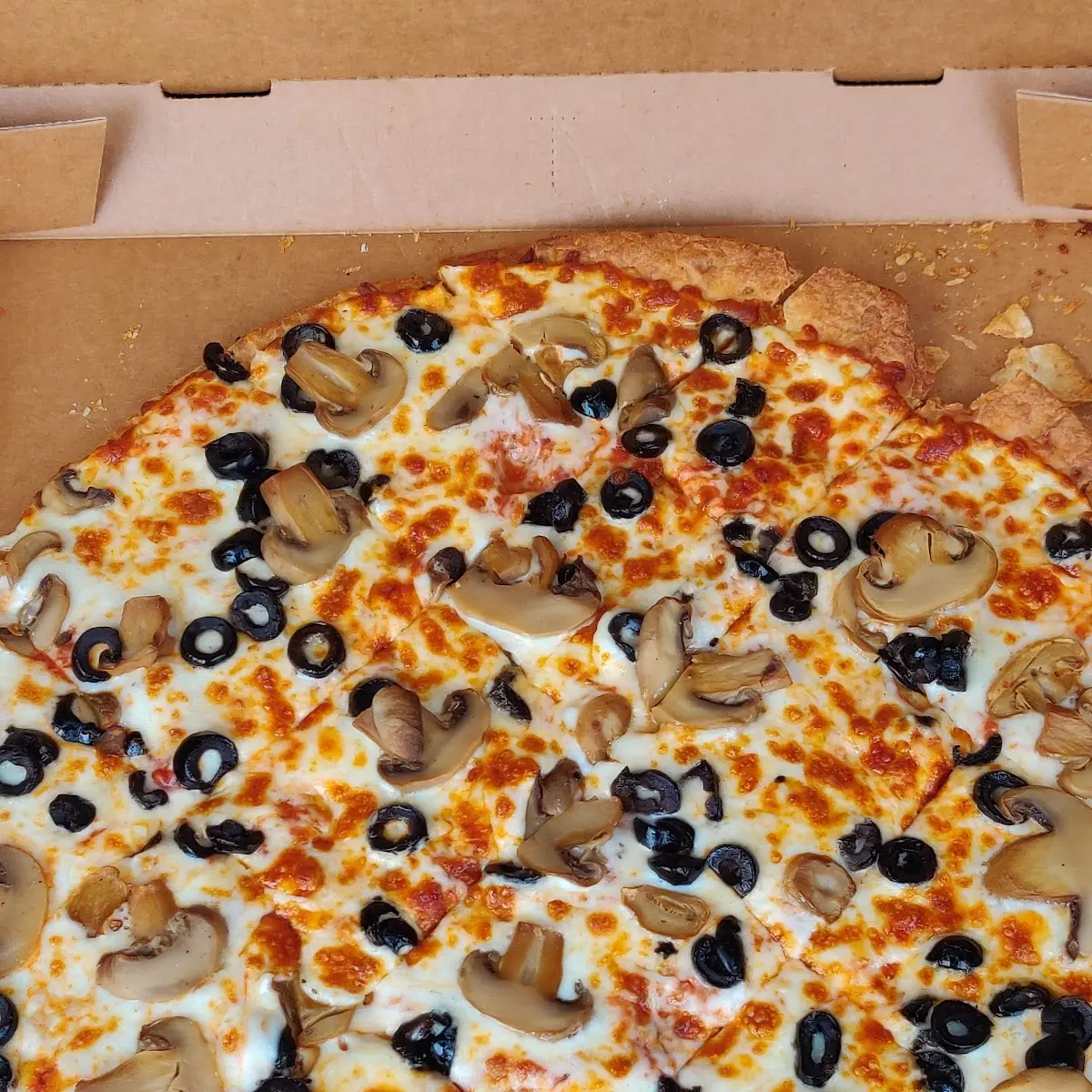 Mushroom and Black Olive Pizza