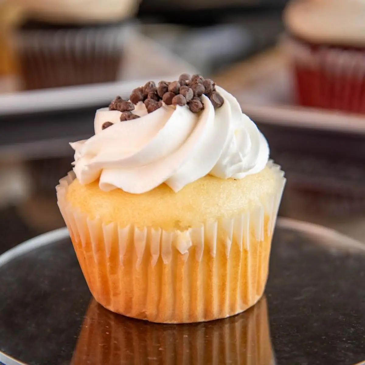 Gluten Free Chocolate Cupcake