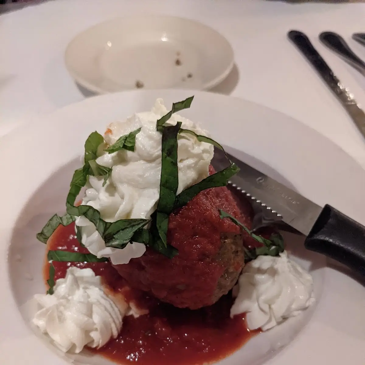 Large Meatball with Tomato Sauce