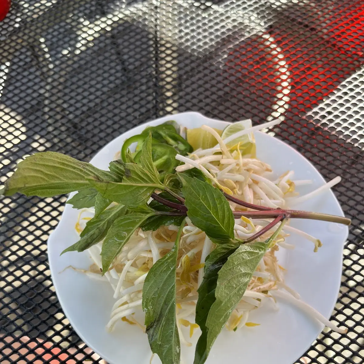 Bean Sprouts Comes with Pho