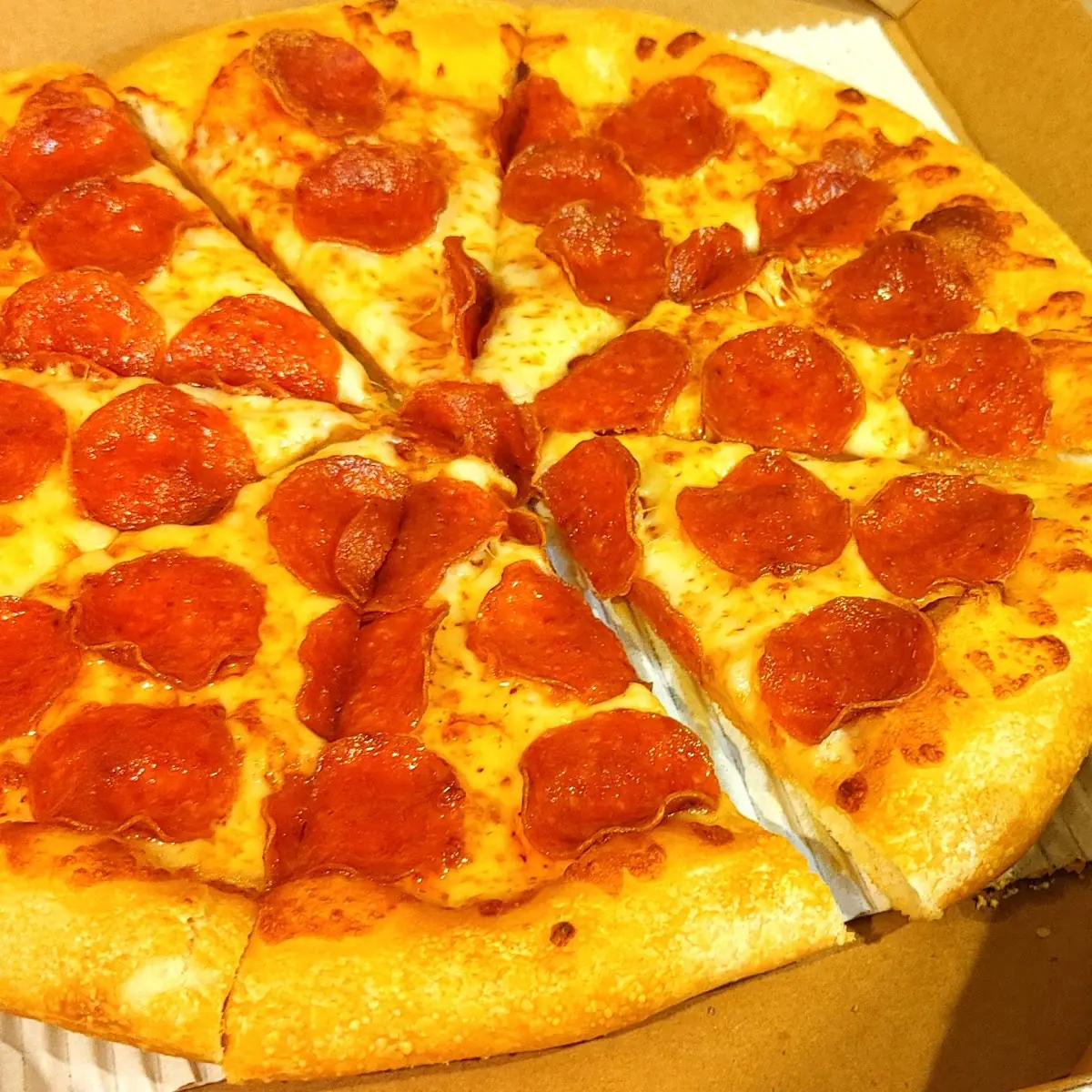 Cheese and Pepperoni Pizza