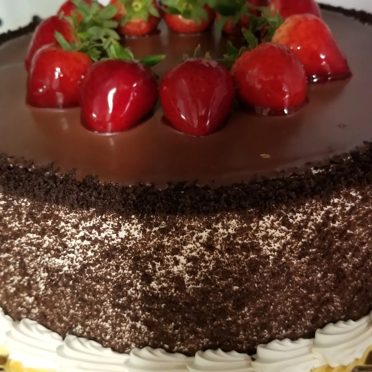 Tres Leches Chocolate Cake