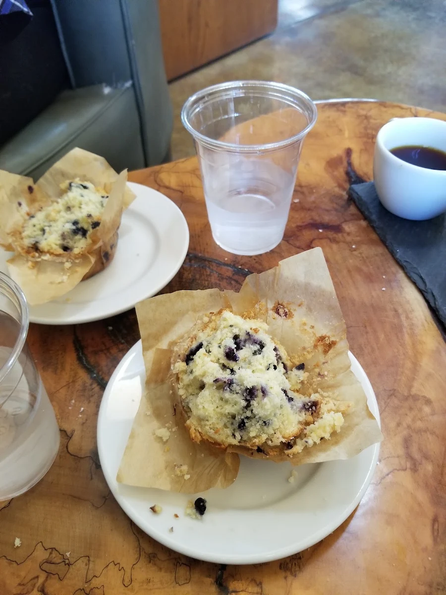 Blueberry Muffin