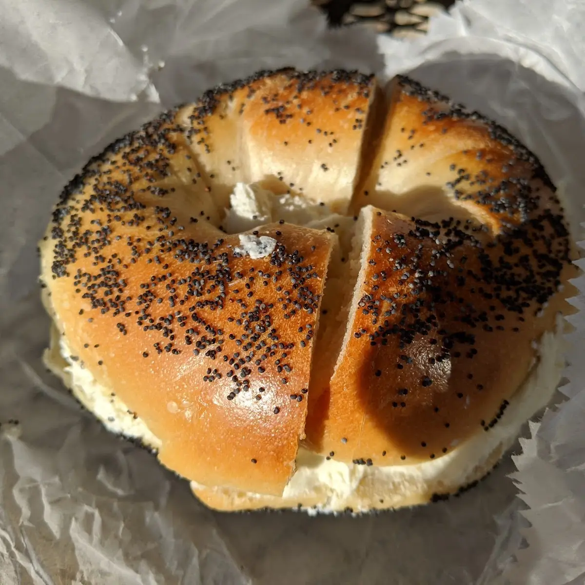 Lox