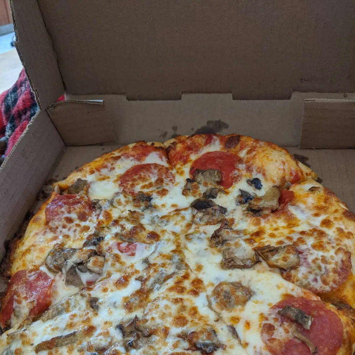 Pepperoni and Mushroom Pizza