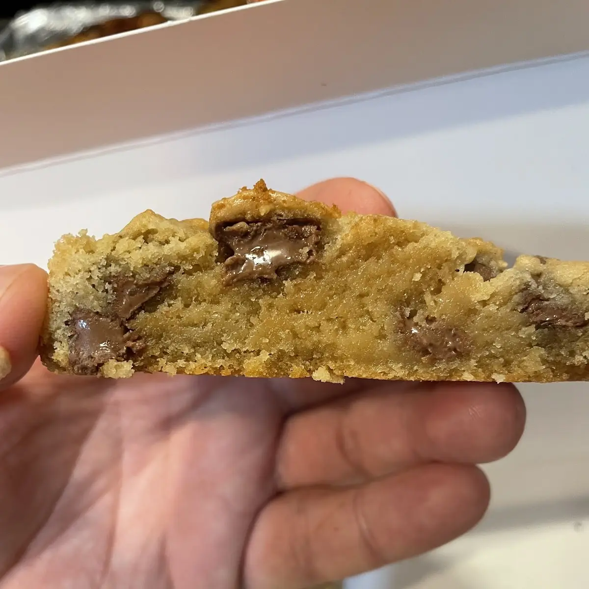 Chocolate Chip