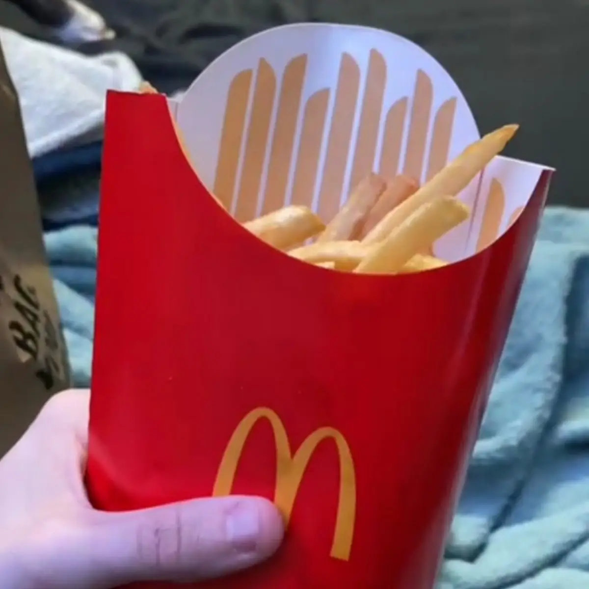Large Fry Filled with Medium Quantity