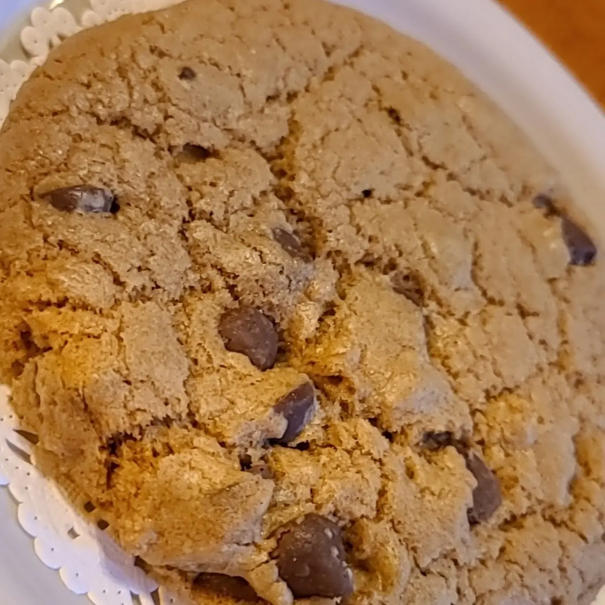 Chocolate Chip Cookie