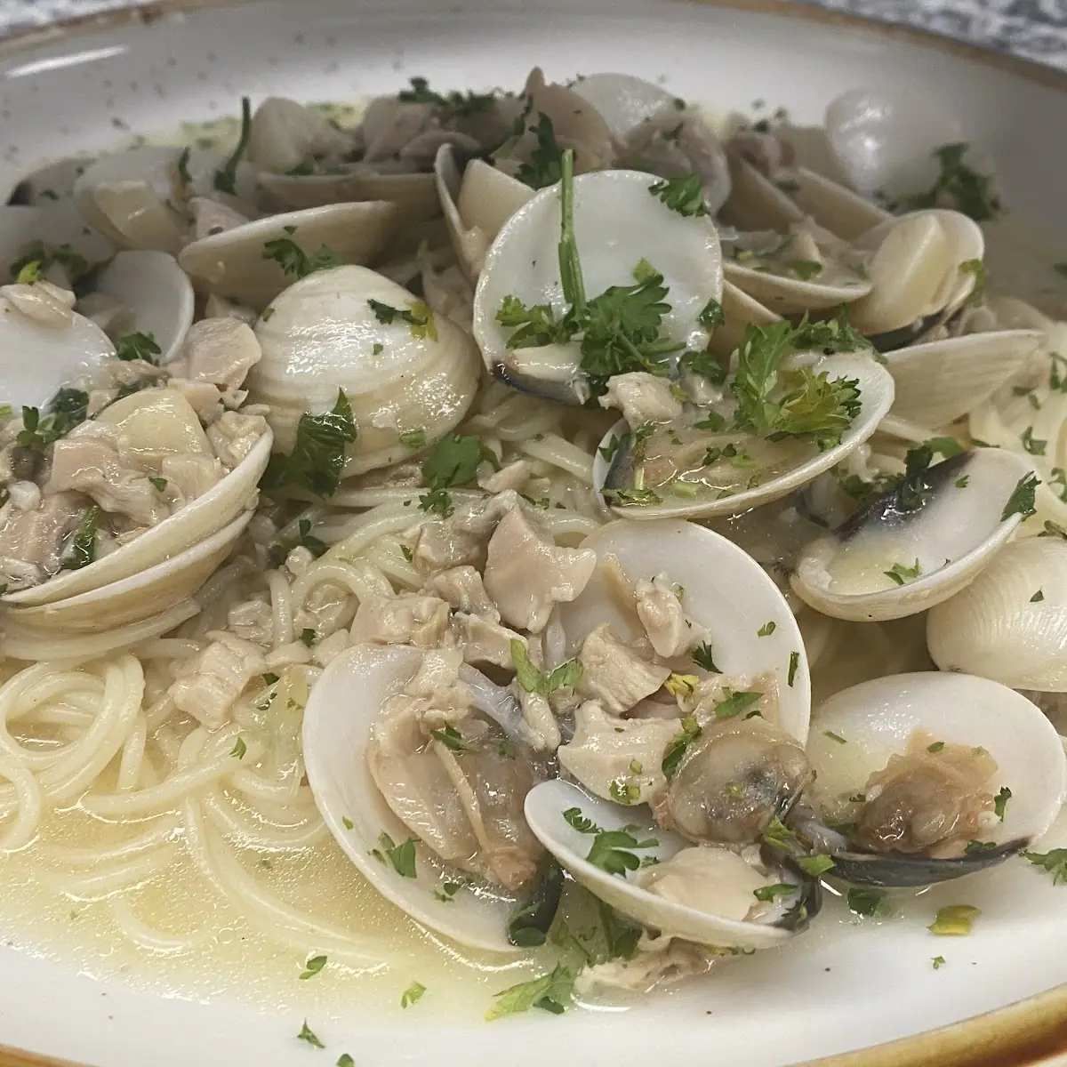 White Clam Sauce