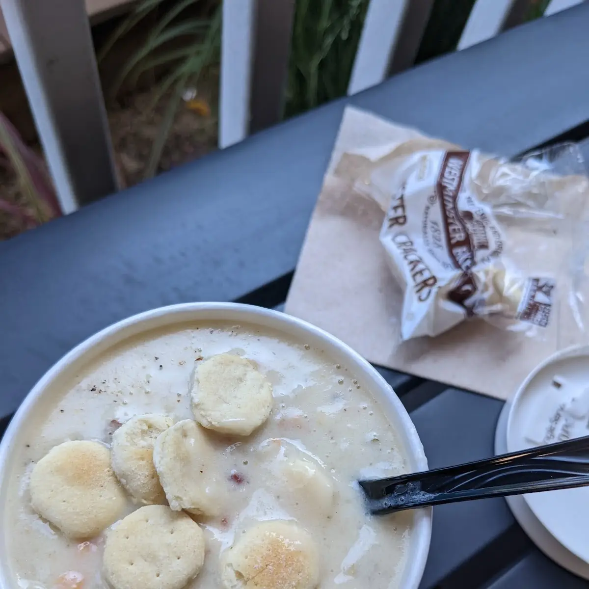 Clam Chowder Soup