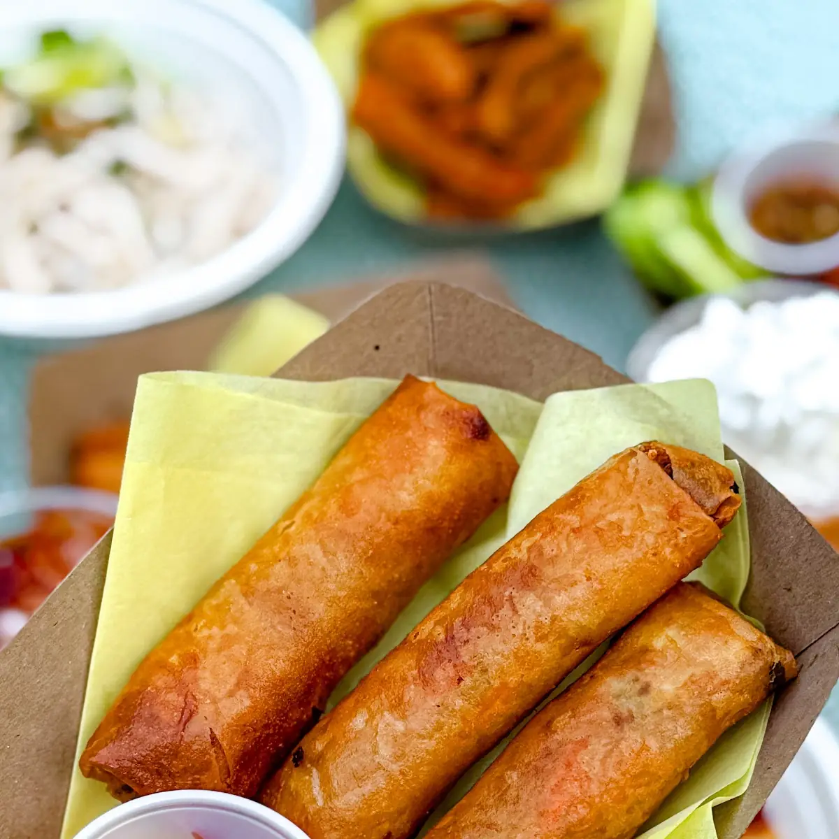 Fried Spring Rolls