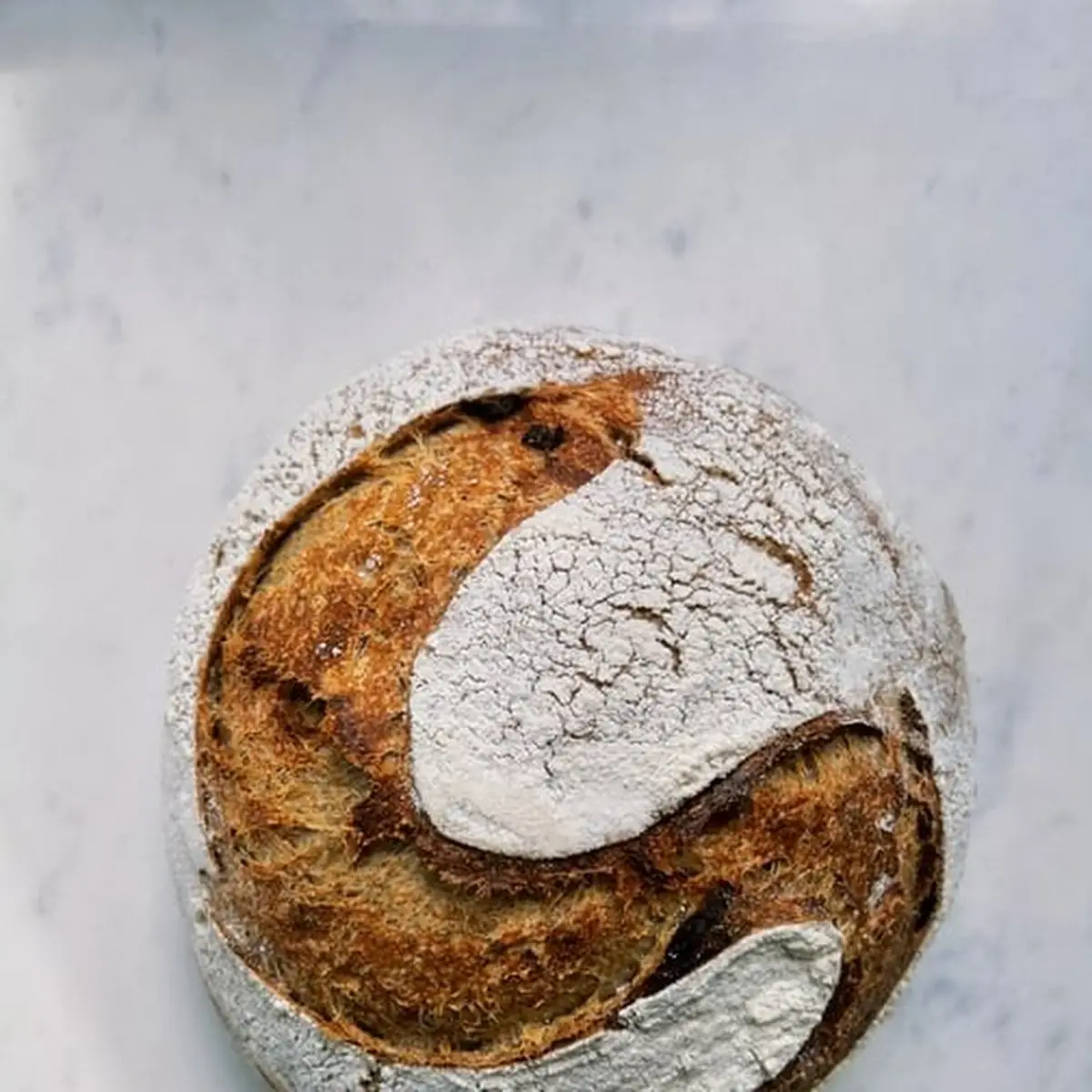 Sourdough Bread