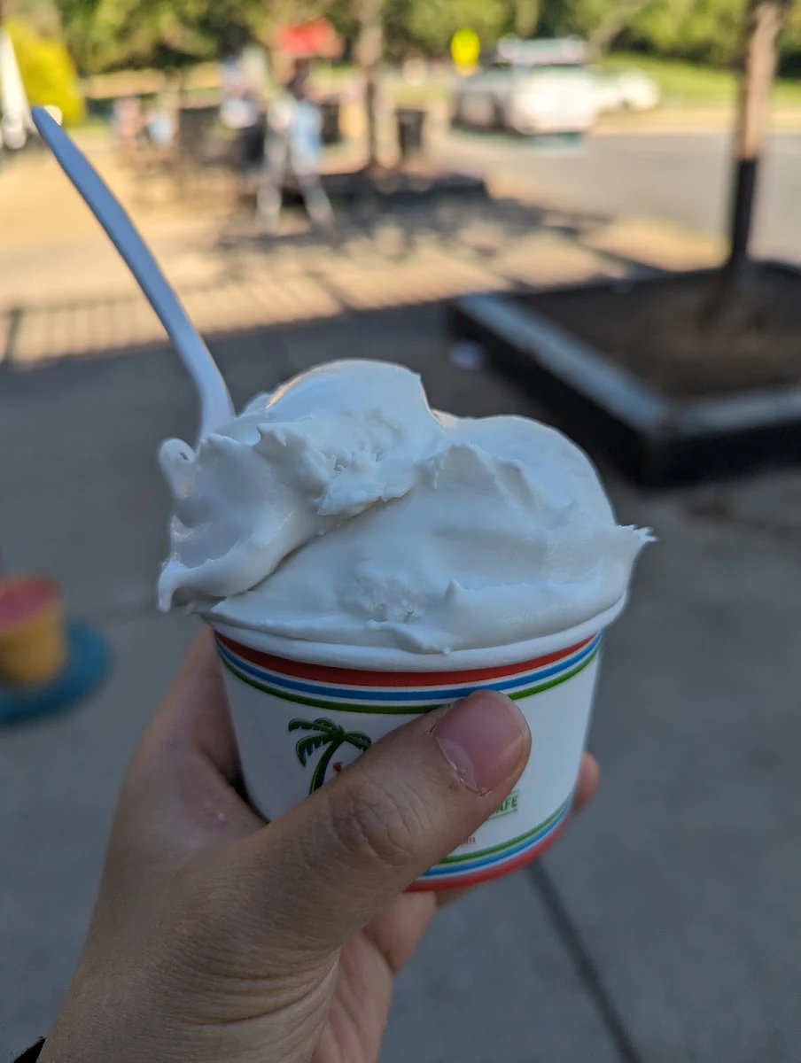 Vegan Coconut Frozen Custard