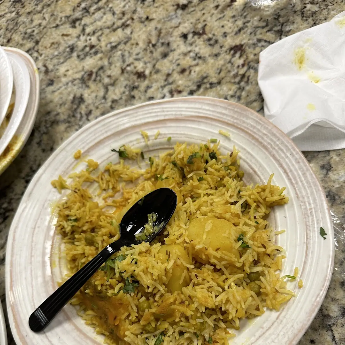 Vegetable Biryani