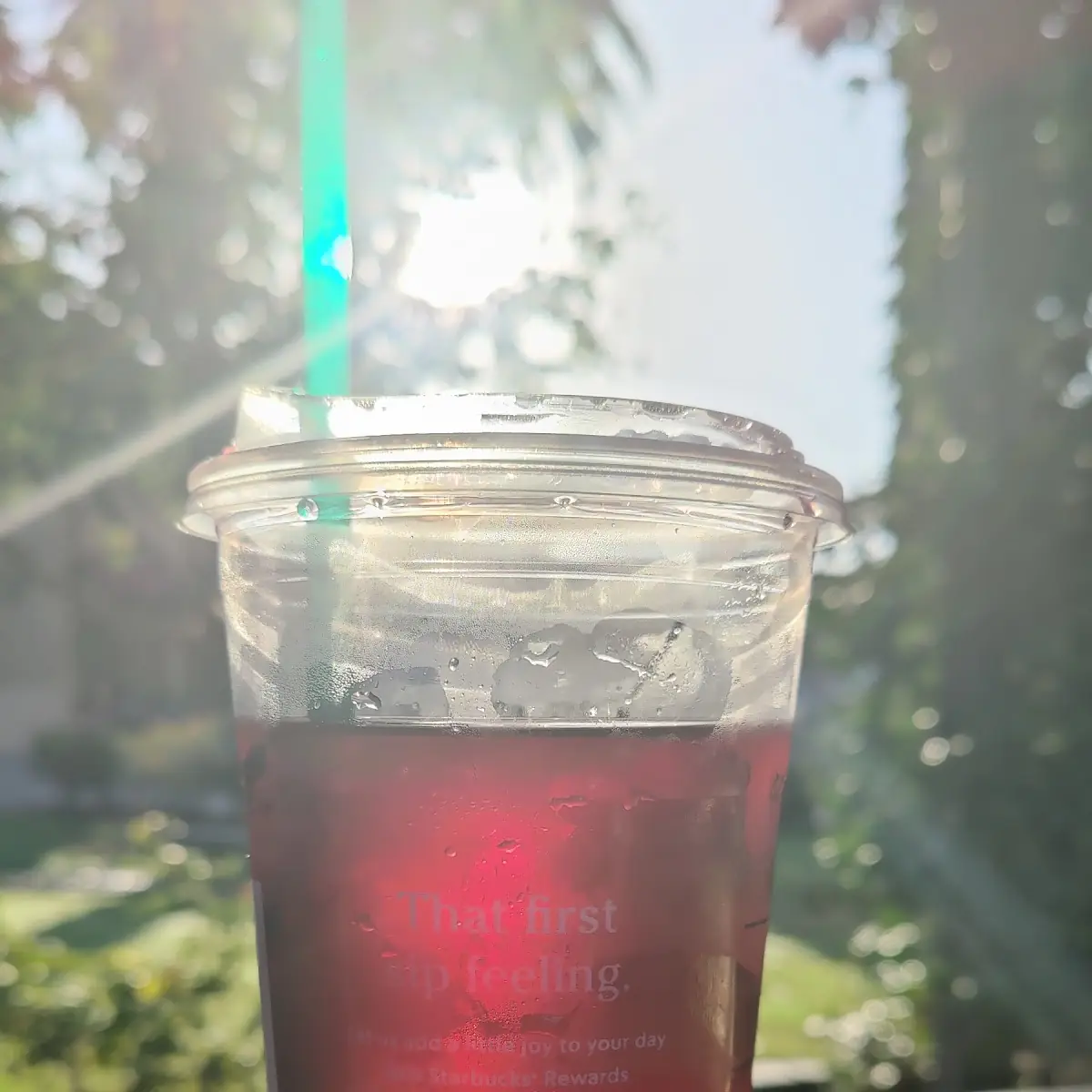 Passion Tango Tea