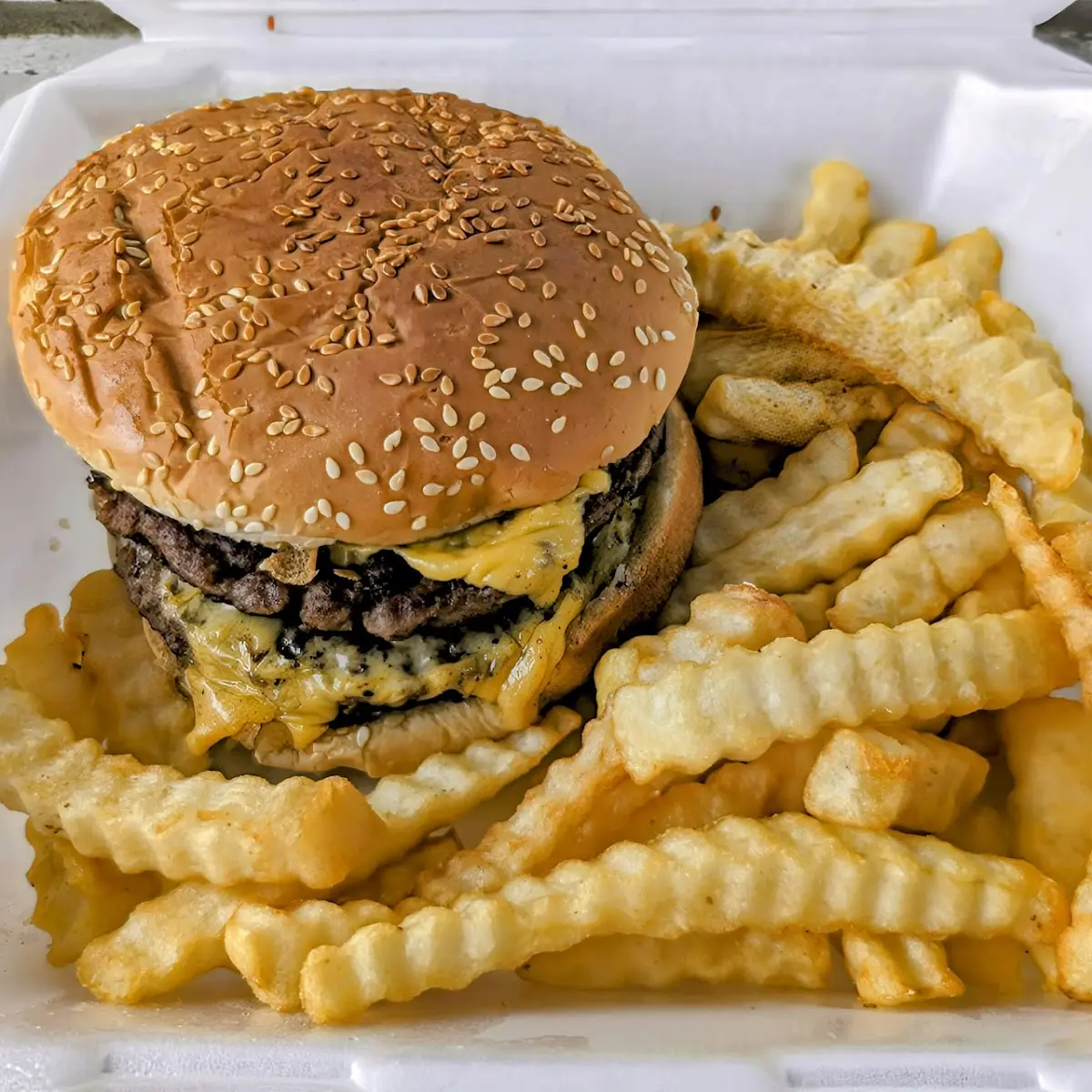 Double Cheeseburger with Fries