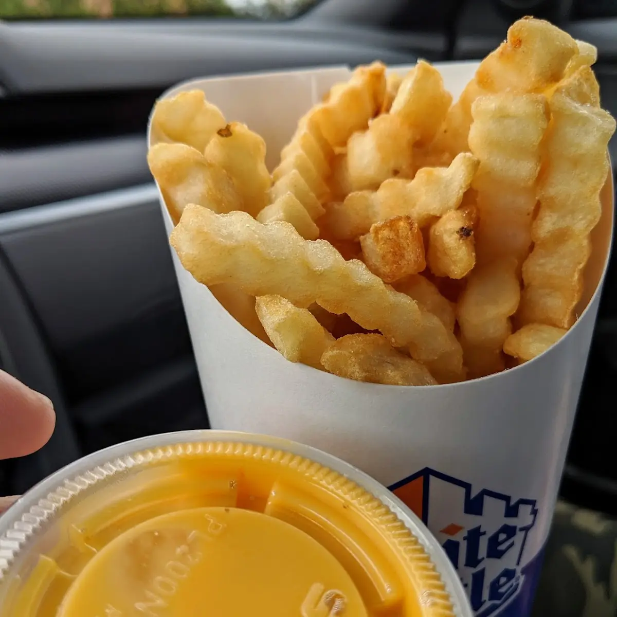 Cheese Fries