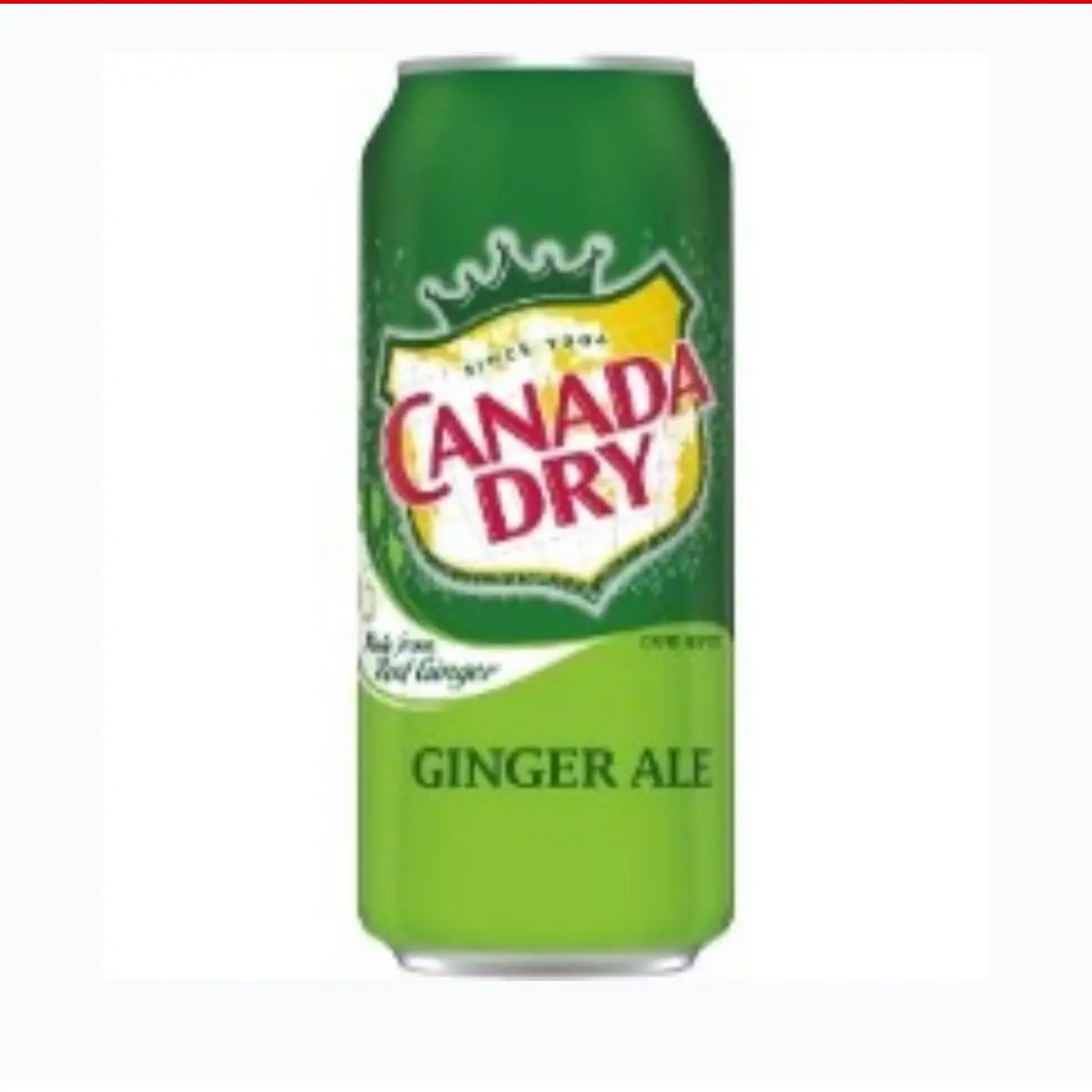 Canadá Dry Ginger Ale