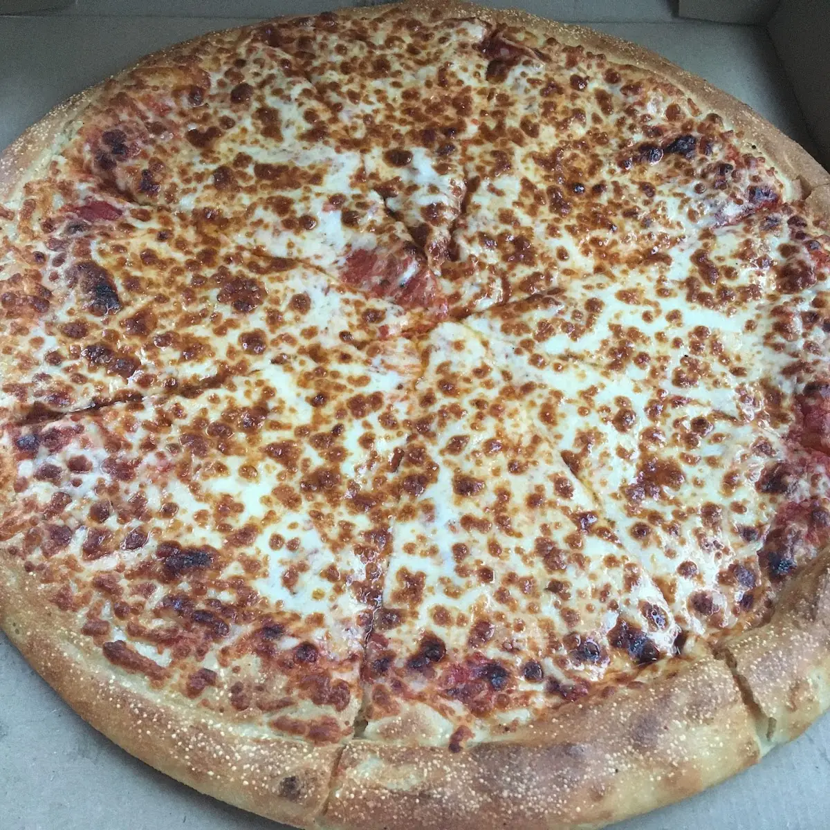 Cheese Pizza