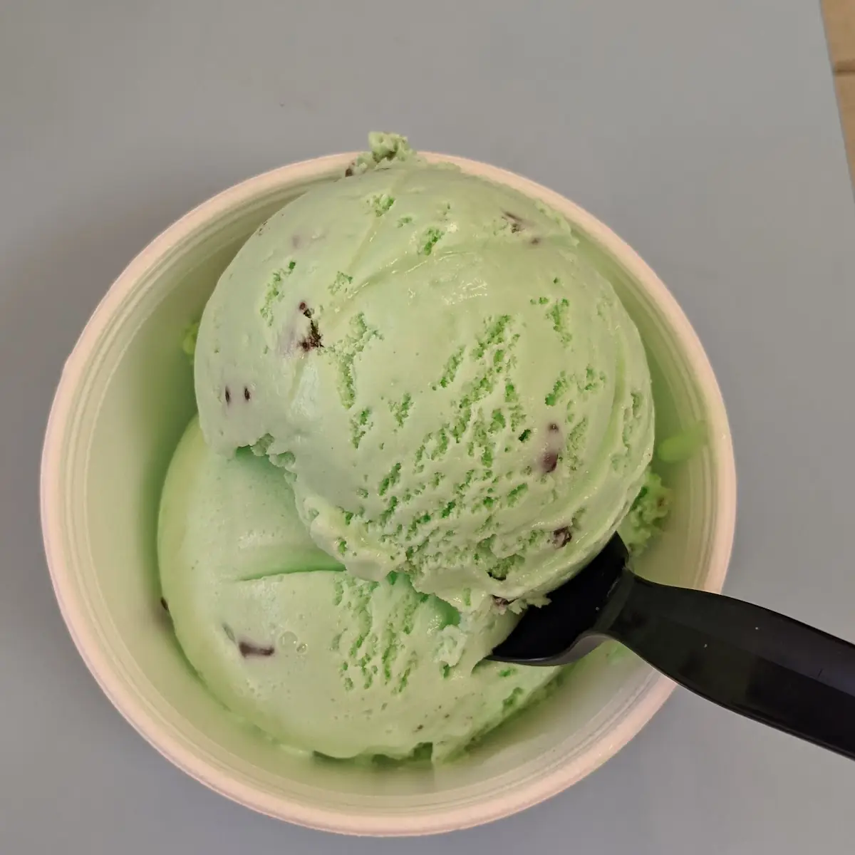 Mint Chocolate Chip Ice Cream