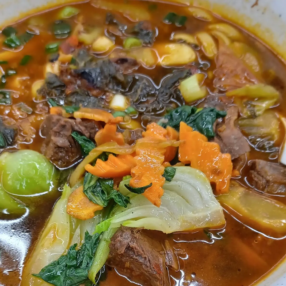 Beef Stew Thick Noodle Soup