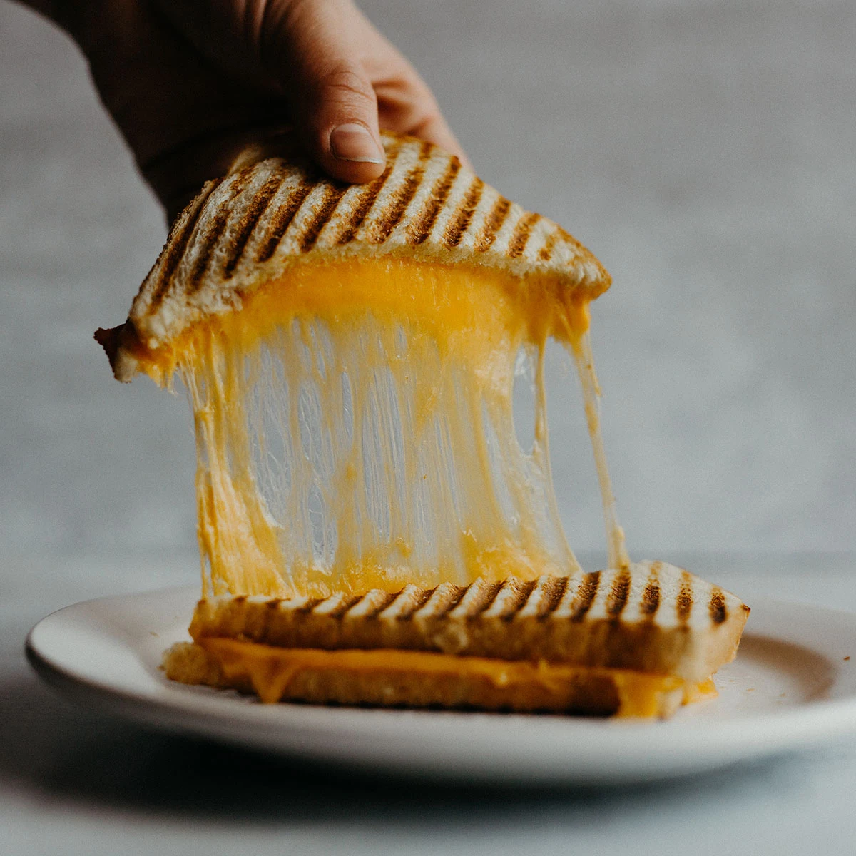 Toasted Cheese Sandwich