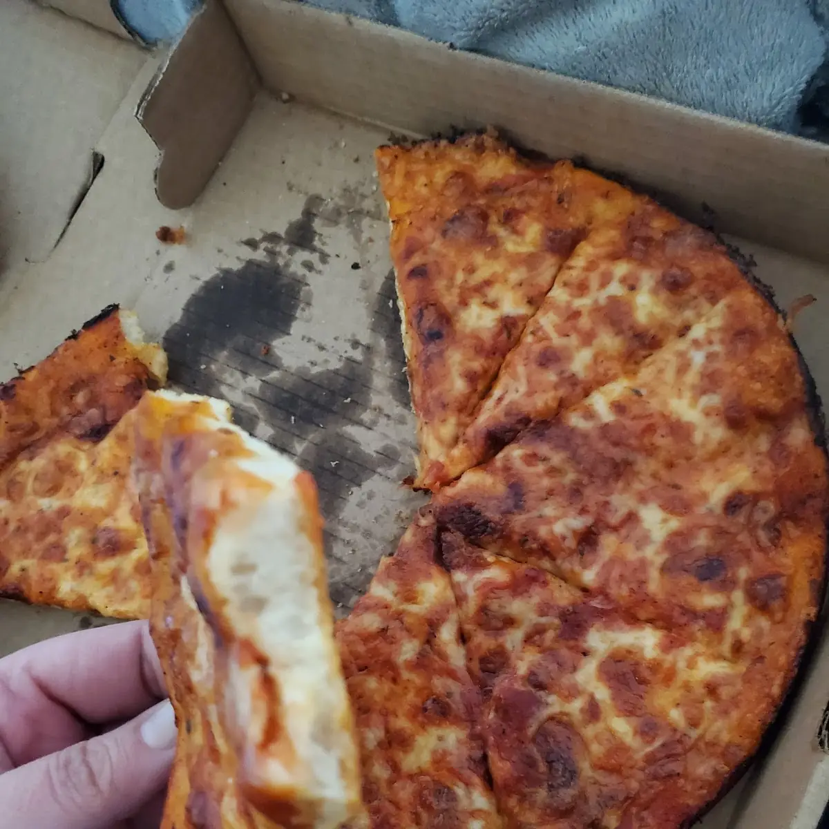 Cheese Pizza