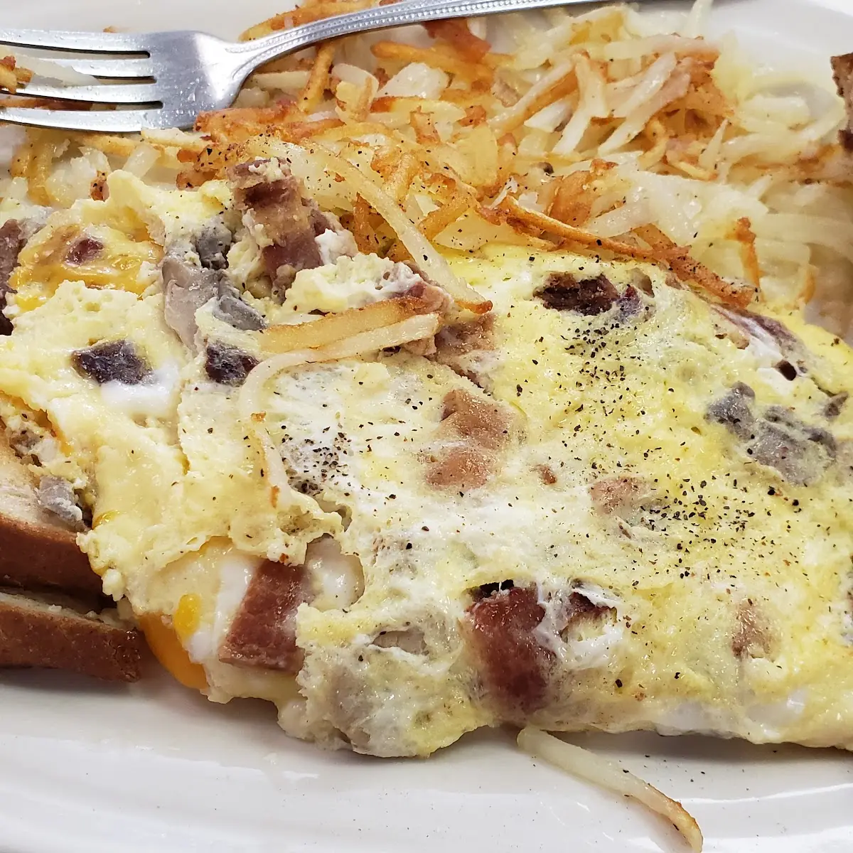 Mushroom Cheese Omelette
