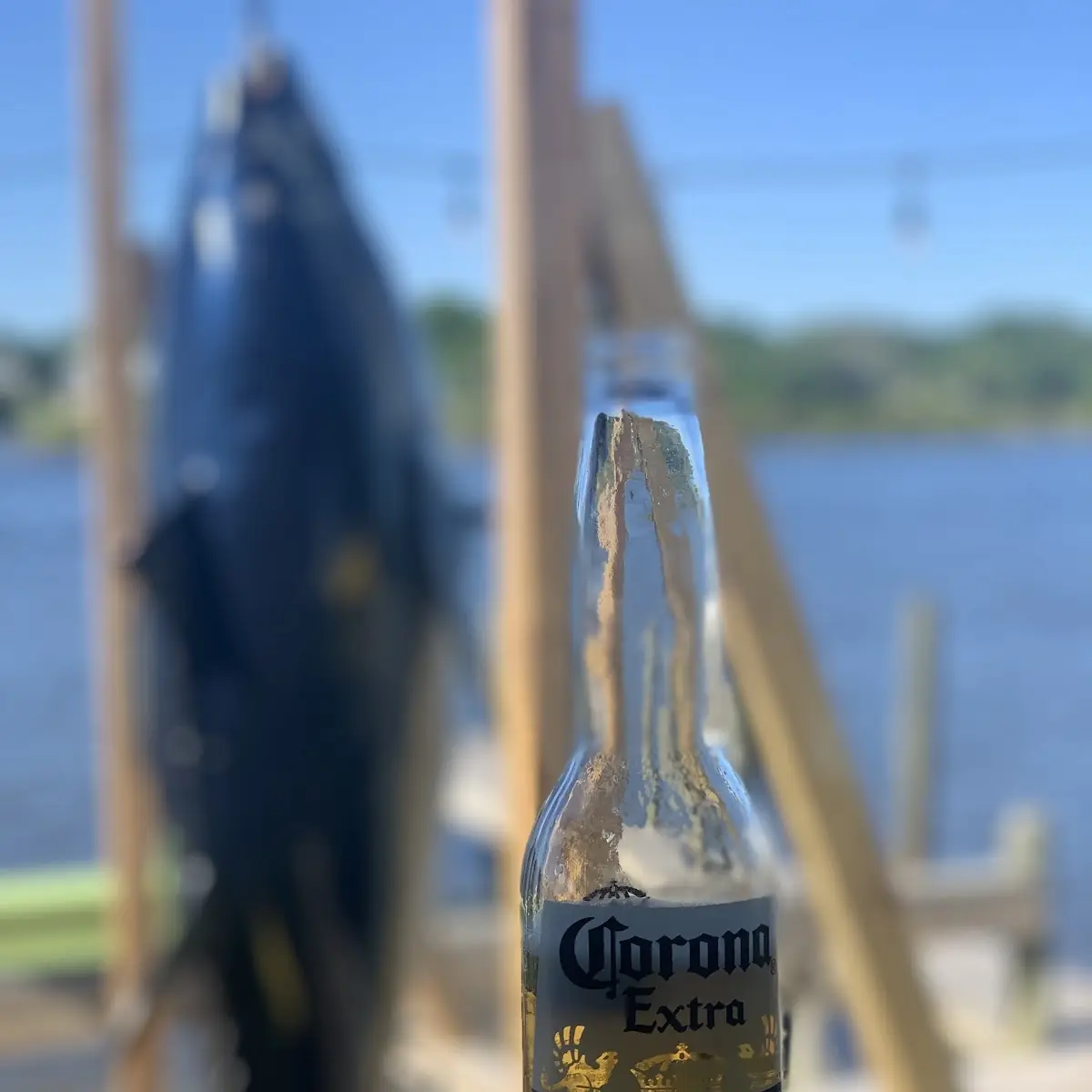 Corona Light