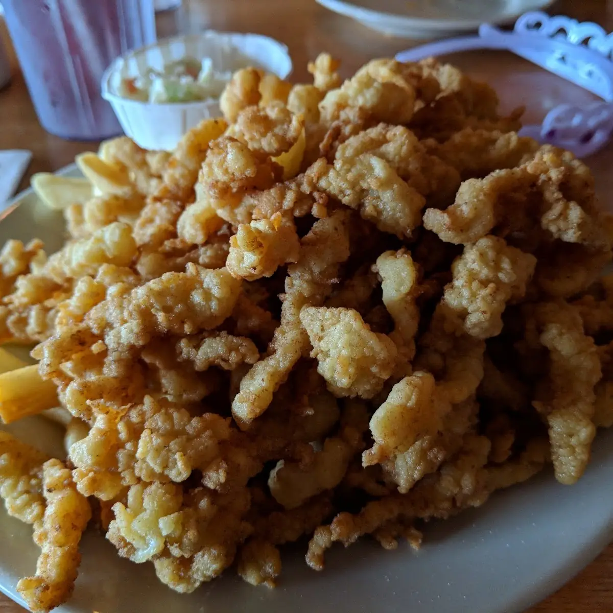 Clam Strips