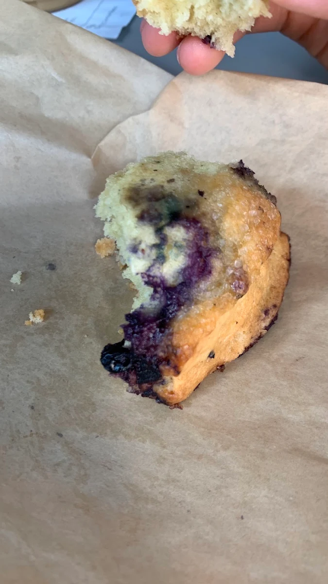 Blueberry Muffin